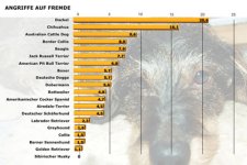 Statistik Spiegel.de.JPG