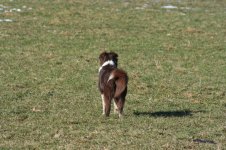 IMG_1320.jpg