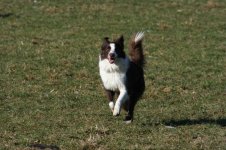 IMG_1326.jpg