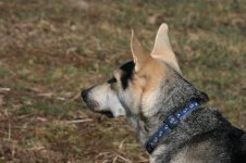 IMG_1334.jpg