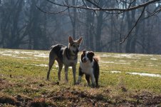 IMG_1347.jpg