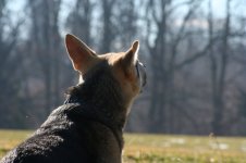 IMG_1348.jpg
