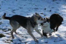 IMG_1367.jpg