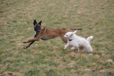 DSC07852.jpg