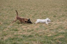 DSC07863.jpg