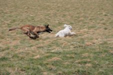 DSC07864.jpg