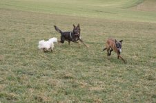 DSC08078.jpg