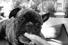 Daniela mit Cooper.jpg