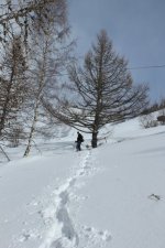 IMG_8312.jpg