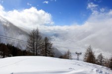 IMG_8338.jpg