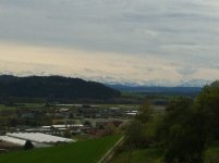 IMG_1144.jpg