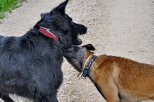 DSC_3130.jpg