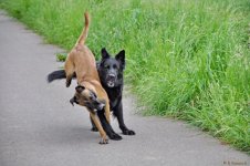DSC_3147.jpg