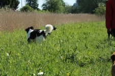 IMG_3055.jpg