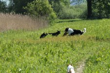 IMG_3064.jpg