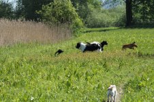 IMG_3065.jpg