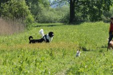 IMG_3067.jpg