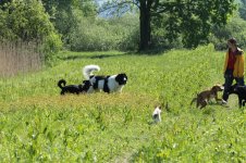IMG_3068.jpg