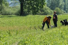 IMG_3072.jpg
