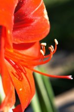 DSC01505.jpg
