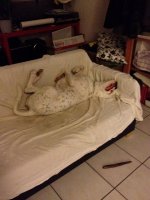 img1739nd.jpg