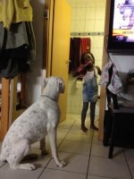 img1803c.jpg