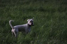 IMG_0620.JPG
