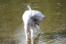 IMG_2409.JPG