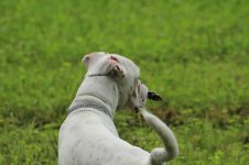 IMG_0140.JPG