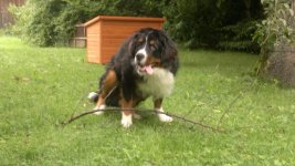 2012-09-04-068.jpg