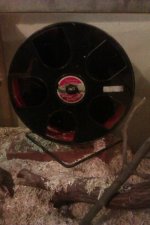 ForumRunner_20121025_192753.jpg