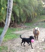 ball.jpg