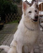 SANY0057_Chiara_Ausschn.jpg