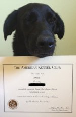 cgc3.jpg