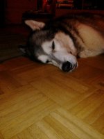 ForumRunner_20130120_221938.jpg
