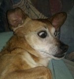 IMAG0080-1.jpg