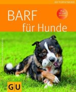 barf_fuer_hunde.jpg