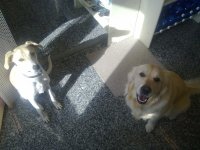 20102011171.jpg