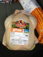 ImageUploadedByHaustierforum.ch1363809381.947014.jpg
