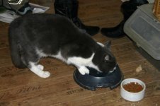 chili7.jpg