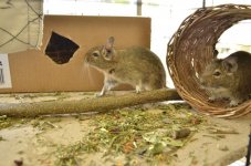 _DSC6994.jpg