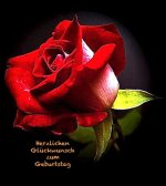 Rose.JPG