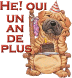 unandeplus.gif