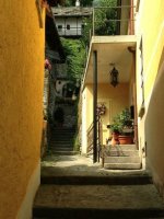 ImageUploadedByHaustierForum1373636811.131622.jpg