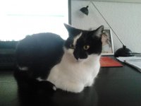 2013-02-08 16.18.51.jpg