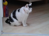 20130227_170256.jpg