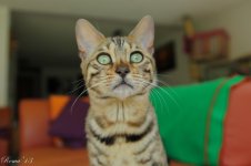 IMG_6816.jpg