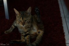 IMG_6882.jpg