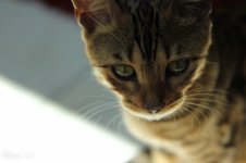 IMG_6883.jpg