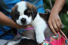 Quirina-Tasche1-20130820_mq.jpg